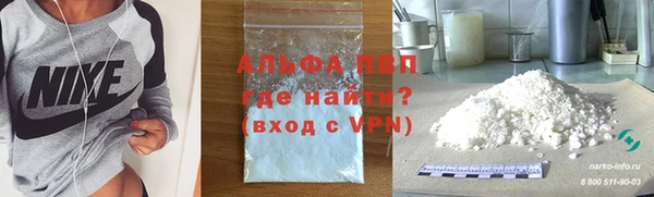СК Коряжма