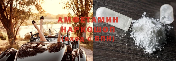 амф Ладушкин