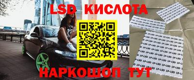 прущие крисы Партизанск