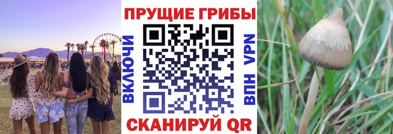 маркетплейс Telegram  kraken ONION  Рыбинск  купить   Псилоцибиновые грибы MAGIC MUSHROOMS 