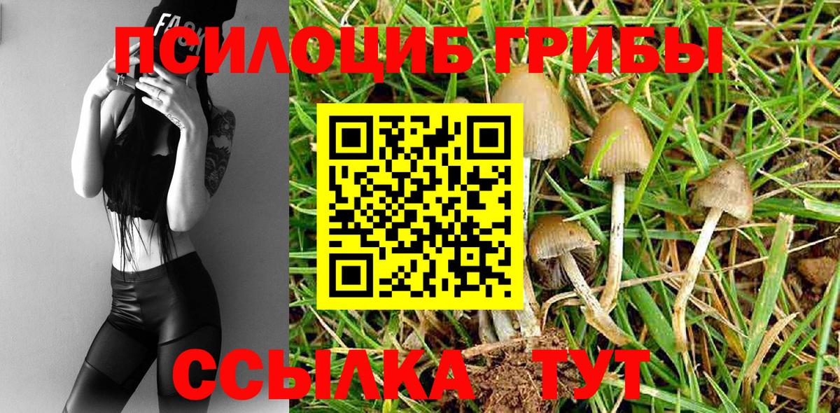 Галлюциногенные грибы мухоморы Рыбинск
