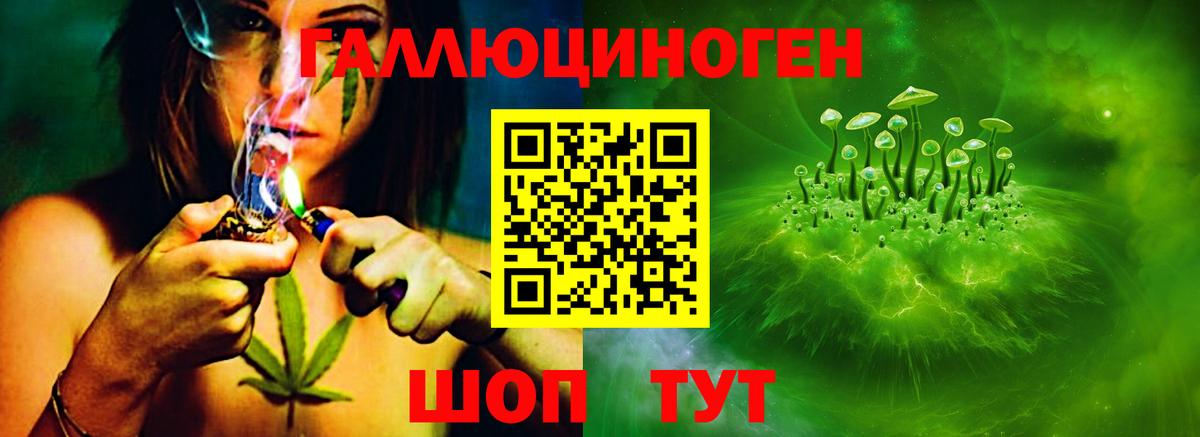 Рыбинск  Псилоцибиновые грибы GOLDEN TEACHER  Псилоцибиновые грибы Magic Shrooms  Вход с VPN 